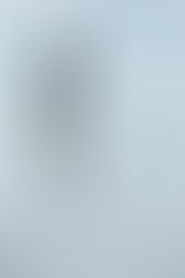 Journée Corps & Mouvement - Laurie May