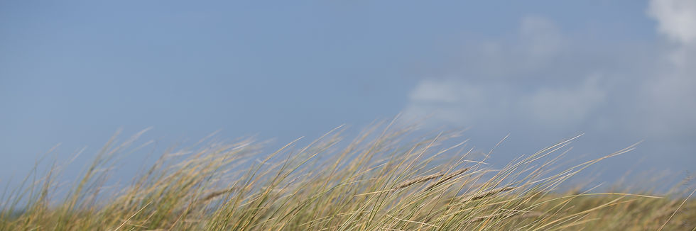 échappée bretonnei mg-9488.jpg