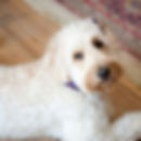 Zoey