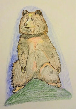 Bear on a Hill
