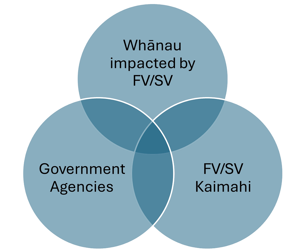FV_SV System -Matatuhi.png
