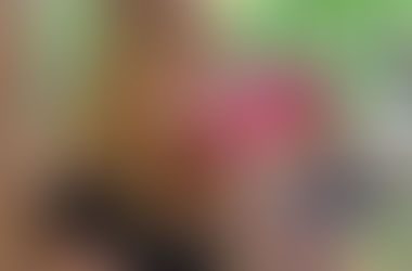 Patrícia Barboza participará da estreia do Para Curtir