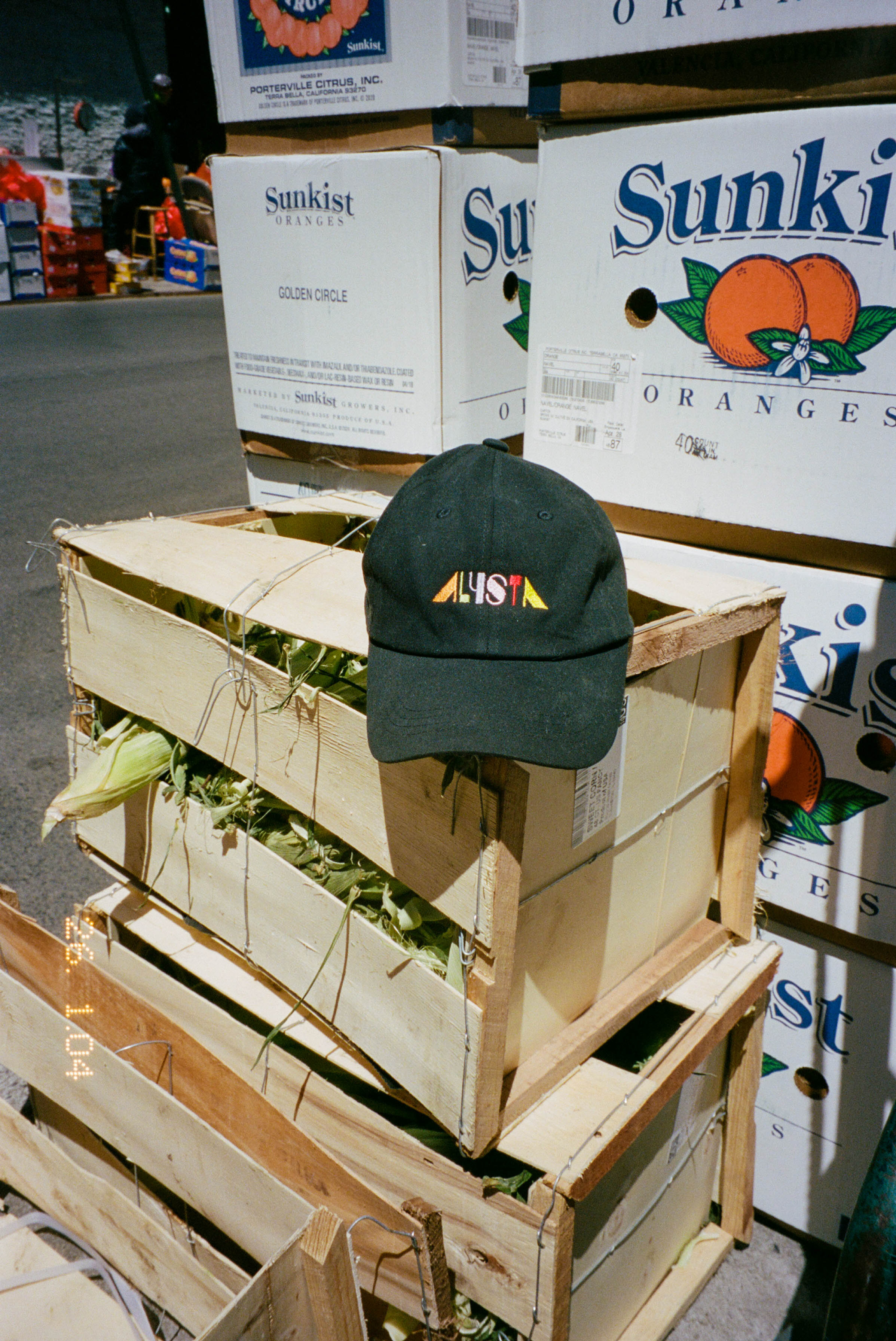 Logo Hat