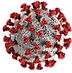 cdc-k0KRNtqcjfw-unsplash (1)_virus.jpg