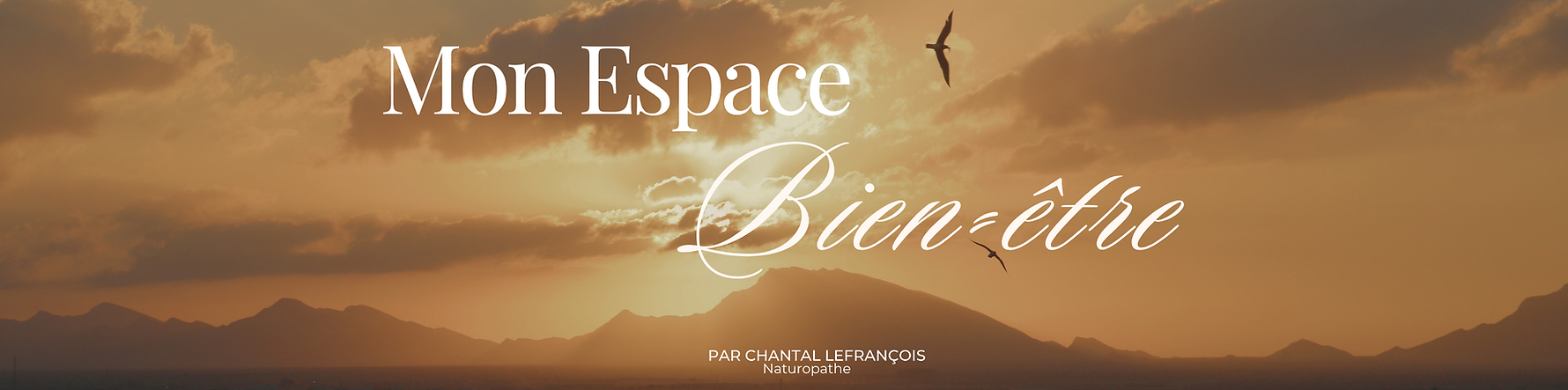 Mon Espace Bien-être (978 x 228 px) (1920 x 1080 px).png