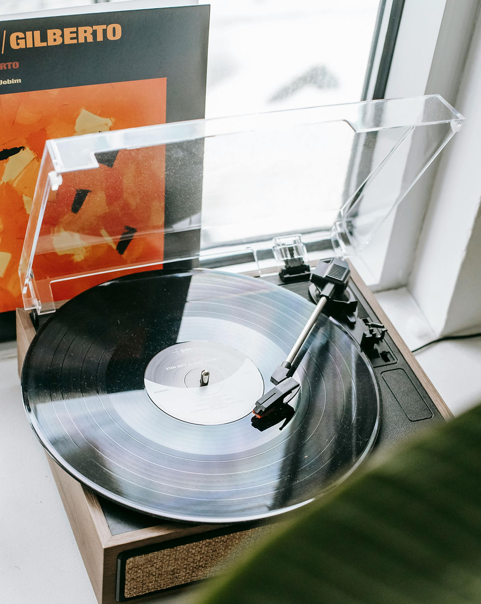 vinil