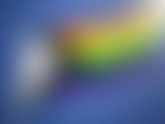 FREE PRIDE FLAGS
