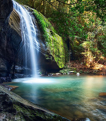 queensland-sunshine-coast-buderim-falls-5.jpg