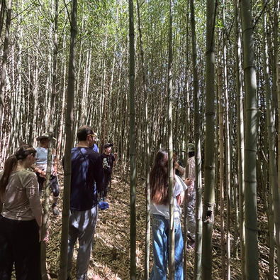 El Bienestar y la Naturaleza como un “Protector” para Nosotros