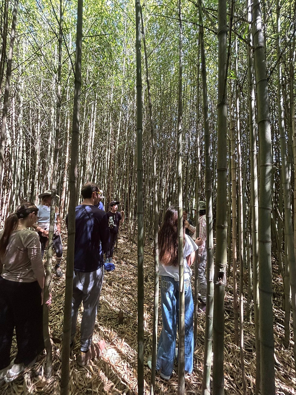 El Bienestar y la Naturaleza como un “Protector” para Nosotros