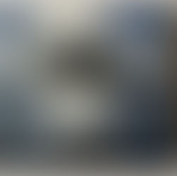 La historia de Uruguay y sus nativas: un viaje al corazón de nuestra biodiversidad