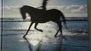 La historia de Uruguay y sus nativas: un viaje al corazón de nuestra biodiversidad