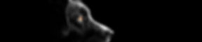 vitrine-black-dog.jpg