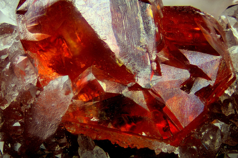 Thumbnail: 4X PLAN Infinite Microscope Objective With RMS Adapter