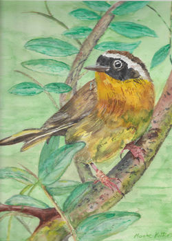 Warbler