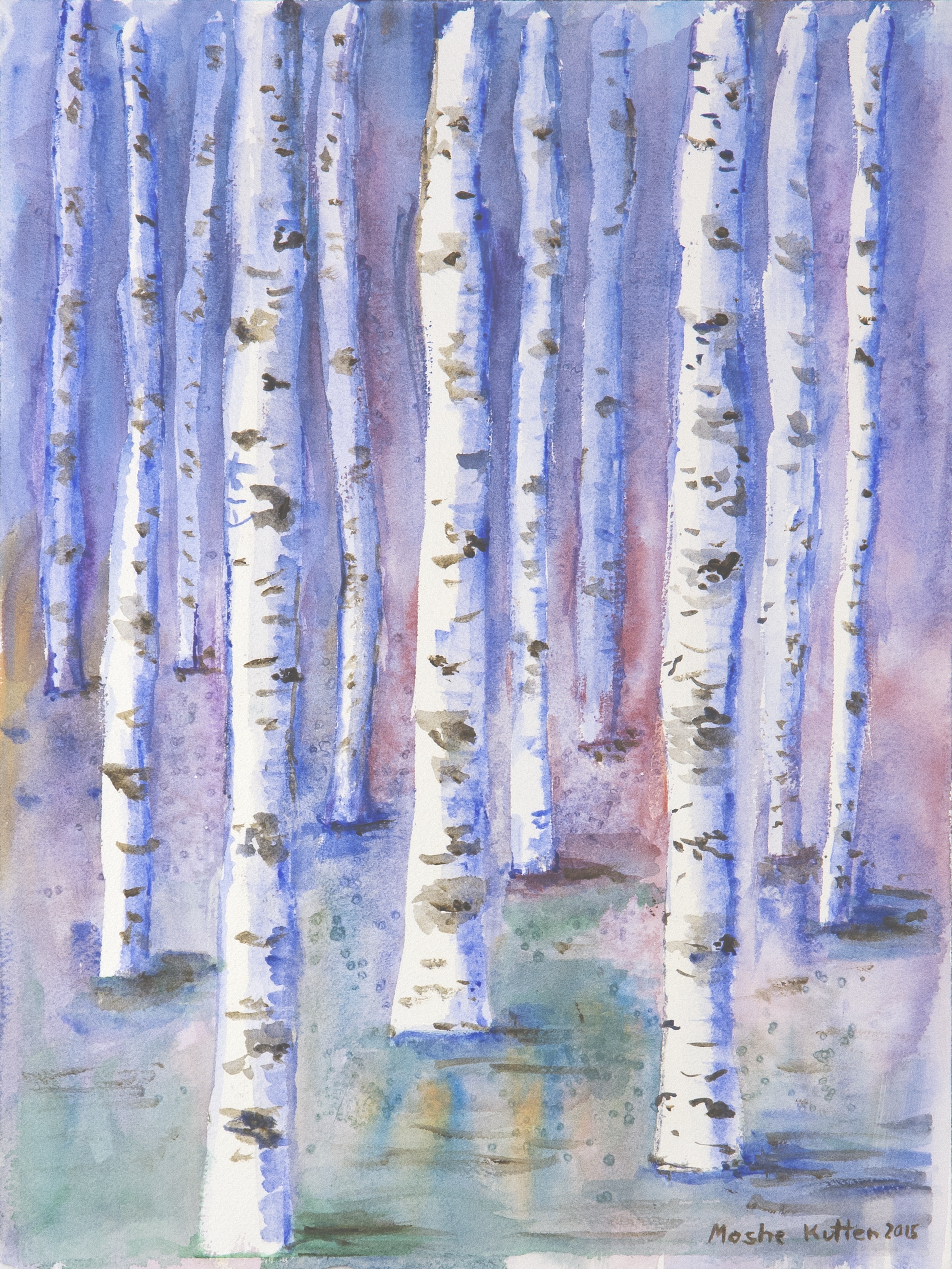 Birch Forest