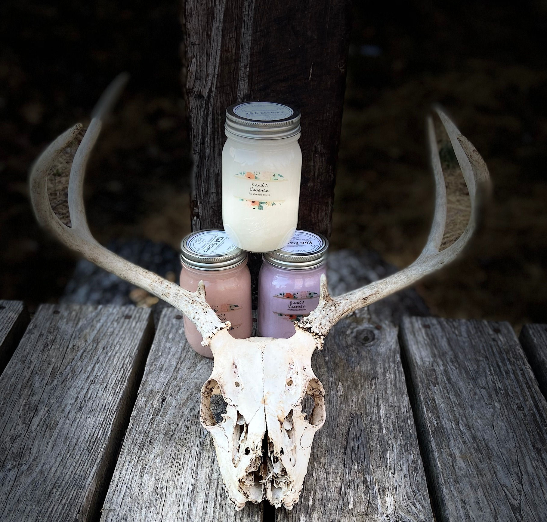 Harvest Temptations 16 oz Jars