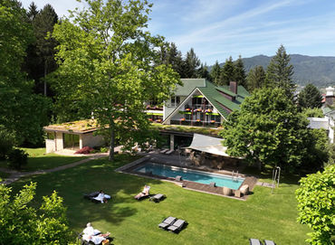 waldhotel_gruener_baum.jpg