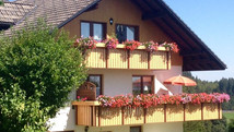 Haus Ebner Schluchsee