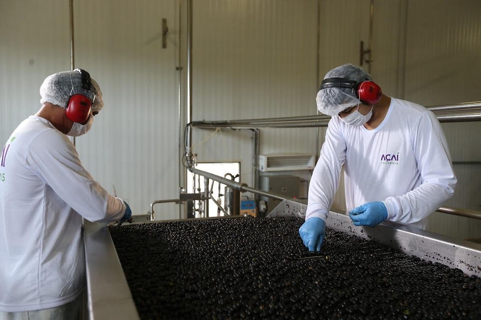 Hubo un tiempo en el que pedir un açaí bowl en España sonaba a capricho de viajeros recién aterrizados de Brasil o California. Hoy la historia es muy distinta. El superalimento amazónico que lleva años arrasando en ciudades como Nueva York, Londres, Los Ángeles o Dubái se ha instalado definitivamente en las cafeterías, brunchs y espacios healthy de nuestro país.