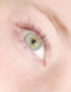 Canberra Lash Lifts