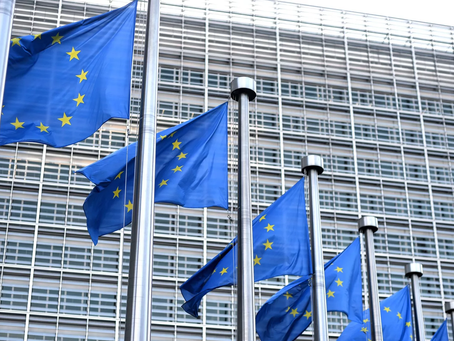 Georgia aims for EU membership and a reset of relations with Brussels, says prime minister