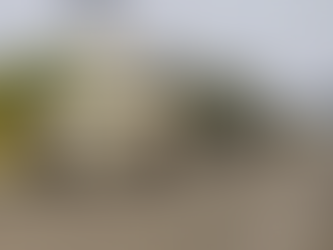 The Moldovan army will participate in NATO exercises in Georgia