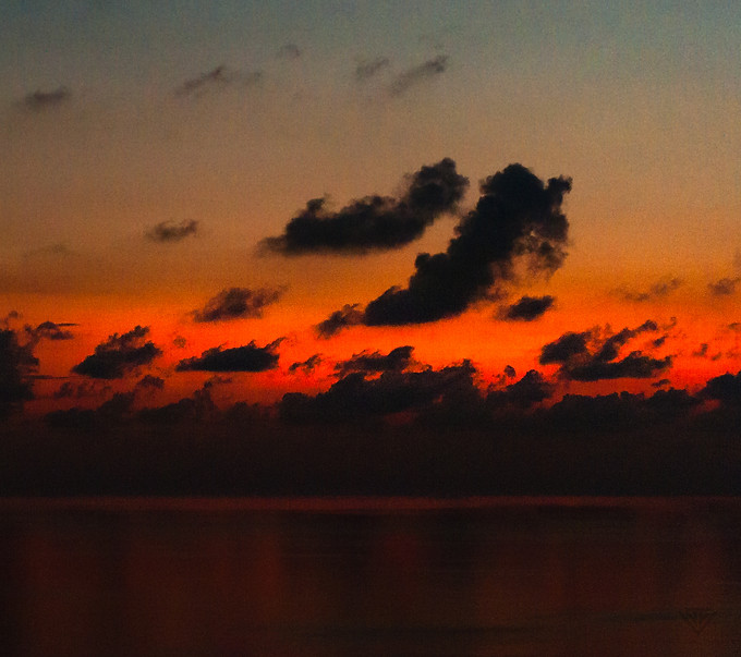 700_8198.jpg