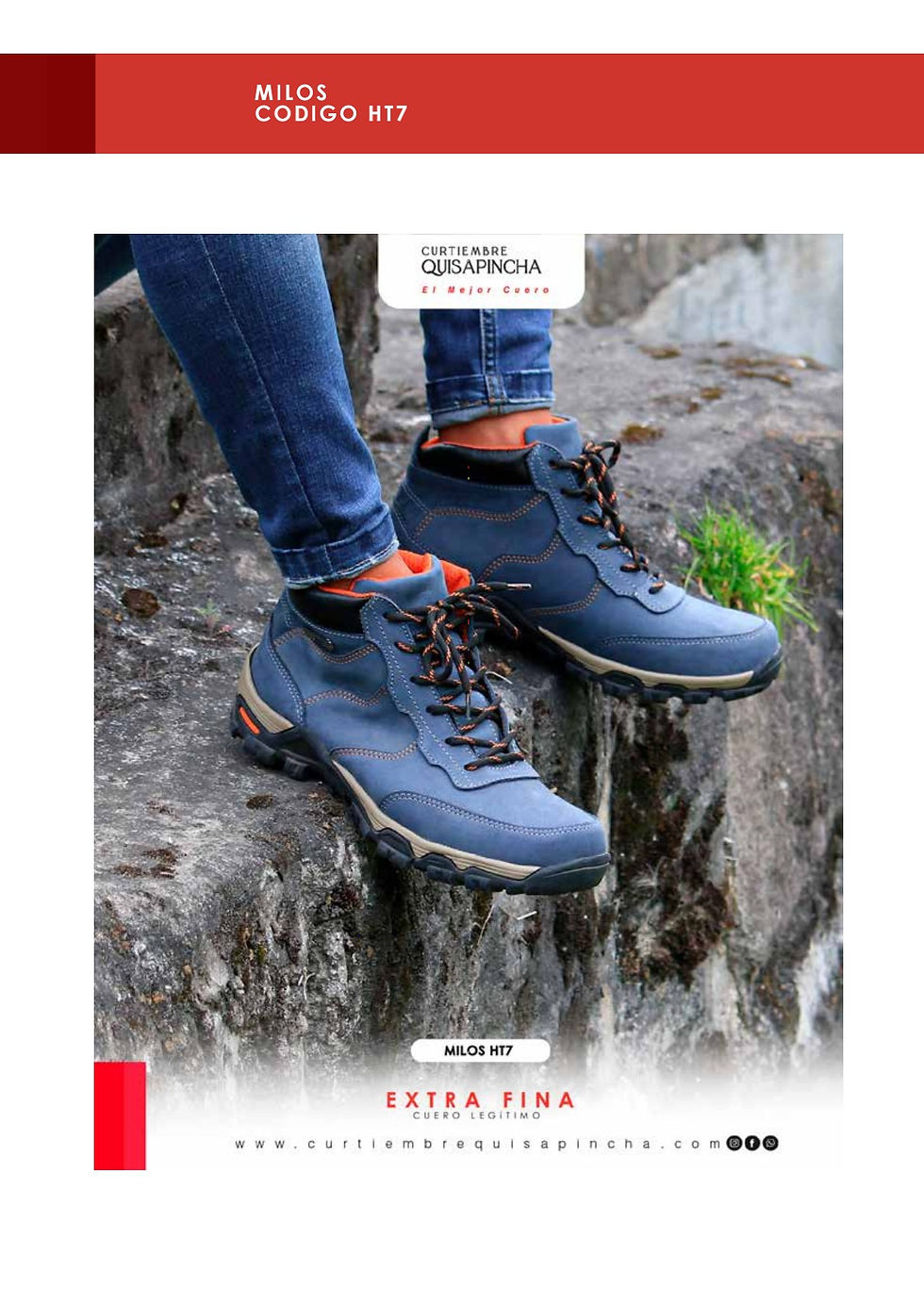 Miniatura: Catalogo Montaña