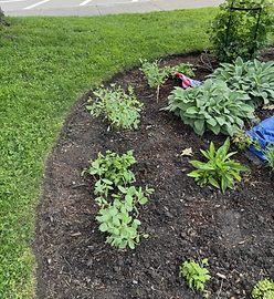 Wickford Meditation Garden