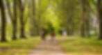 Lucknam_Park_Stills-39.jpg