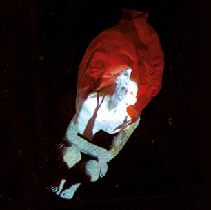 Femme Fractale - Anna Laclaque