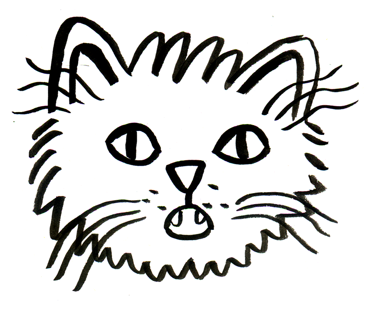 Miaou miaou