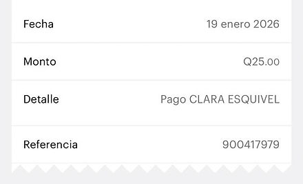 Ejemplo Boleta.jpg