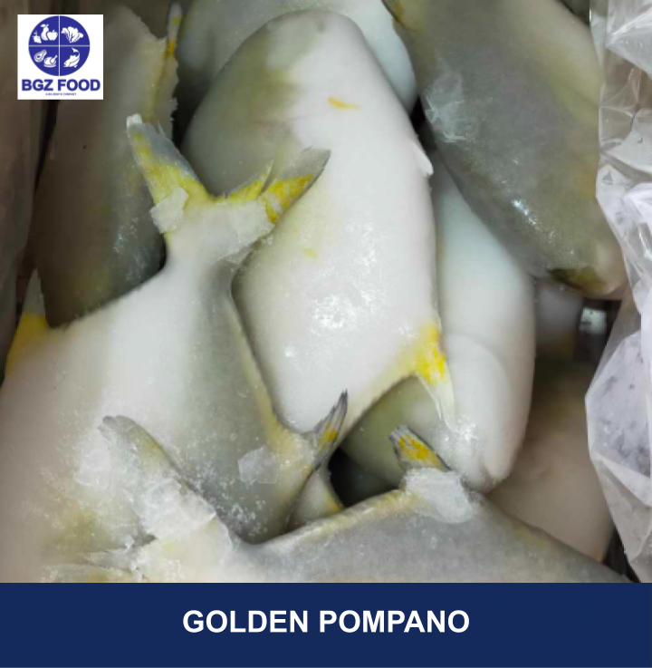 Golden Pompano Whole