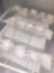 Fresh Perch Fillets.jpg