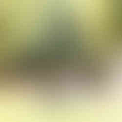 12月限定！七五三後撮りキャンペーン2024/淡路島・洲本市フォトスタジオ カドゥー [cadeau]