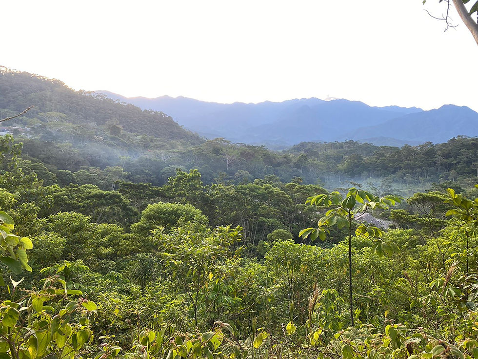 Montañas Colombia.jpeg