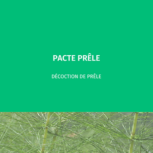Solutions Phytothérapie (21).png
