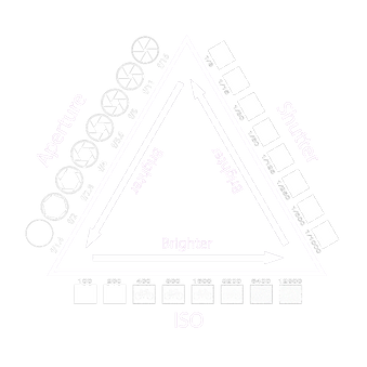 triangle_edited.png
