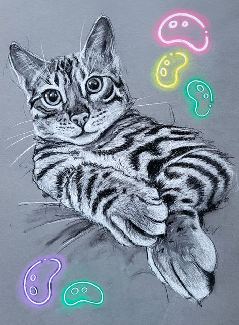 Charcoal drawing of a cat with neon beans