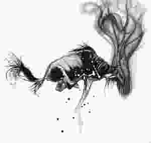 drawing, art