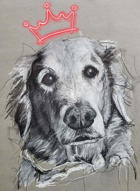 Charcoal drawing of dog with neon crown