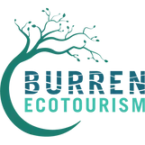 BurrenLogoDark2.webp