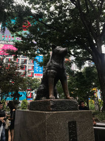 Japan, Do You Got Plan Tonight?