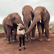 Brie Burgett- Elephants in South Africa