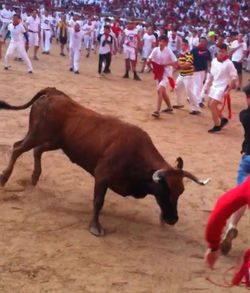 Running of the Bulls