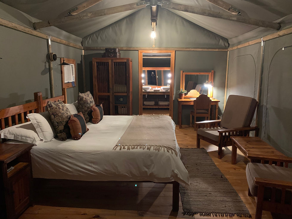 Buffelsdrift Game Lodge | Oudtshoorn