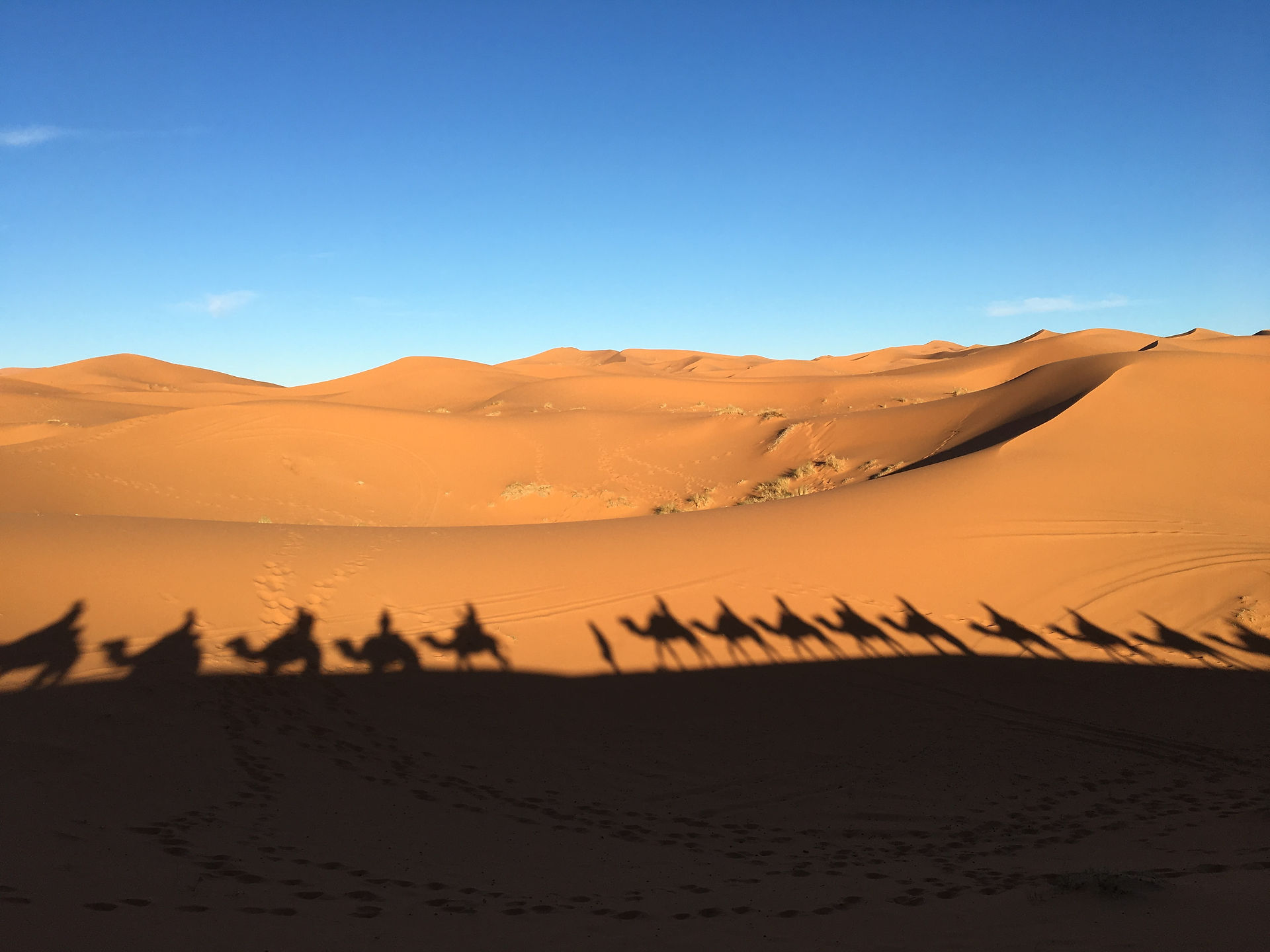 The Sahara
