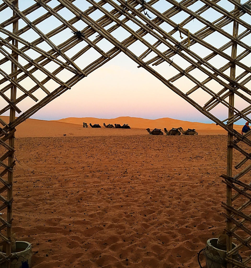 Sunset in the Sahara